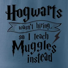 Harry - Hogwarts wasn’t hiring, so I teach Muggles instead