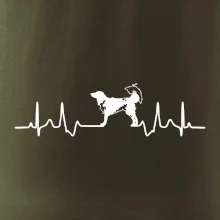 Český strakatý pes EKG