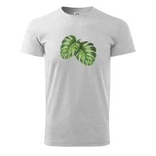 Monstera - dva listy