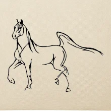 Kôň silueta
