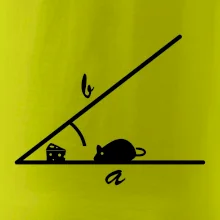 Matematická myš Matematická myš