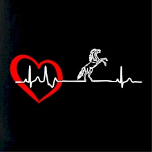 Moje srdce bije pre kone