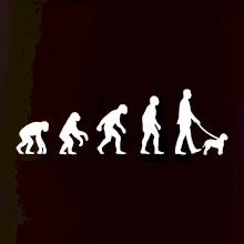 Lagotto romagnolo Evolúcia