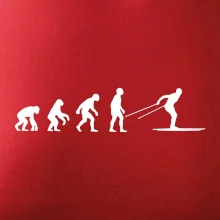 Evolúcia behu - bežky Evolúcia behu - bežky