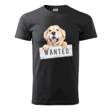 Zlatý retriever - šteniatko wanted