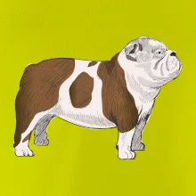 Vintage English bulldog