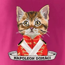 Napoleon domáci mačka