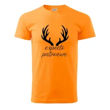 Harry - Expecto patronum Harry - Expecto patronum