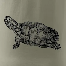 Ceruzkou kreslená korytnačka