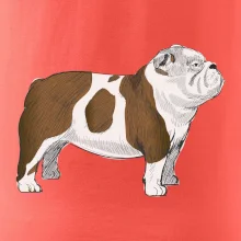 Vintage English bulldog