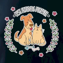 Mačka a pes best friends