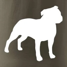 Americký stafordšírsky teriér Na prsníku