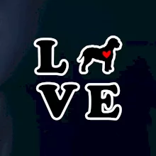 Lagotto romagnolo LOVE