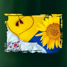 Ukrajina slnečnice a kroj Ukrajina slnečnice a kroj