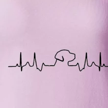 Labradorský retriever EKG Labradorský retriever EKG