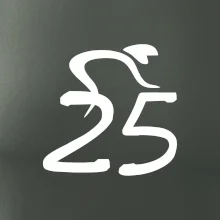 Cyklista oslavuje dvadsaťpäťku (25)