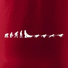 Evolúcia psie záprahy