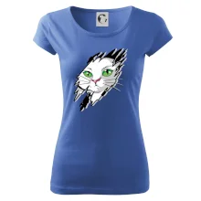 Kočka v roztrženém triku