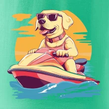 Zlatý retriever na vodnom skútri