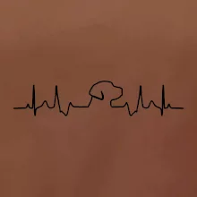 Labradorský retriever‎ EKG