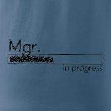 In progress titul Mgr. magister / magistra