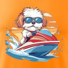 Bišónik na vodnom skútri