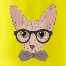 Hipster sphynx