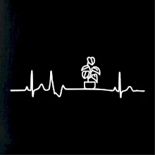 EKG Filodendron EKG Filodendron