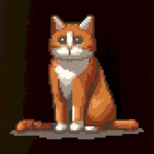 Mačka hrdzavá Mačka hrdzavá