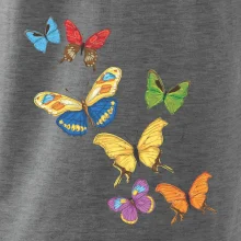 Farebné motýle Farebné motýle