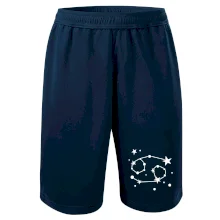 Súhvezdie - Cancer - Rak