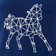 Geometria - kôň Geometria - kôň