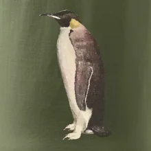 Tučniak kreslený vodovými farbami