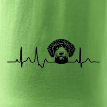 Lagotto romagnolo hlava EKG