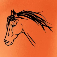 Kôň - hlava celá