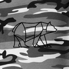 Geometria ľadový medveď chodiaci