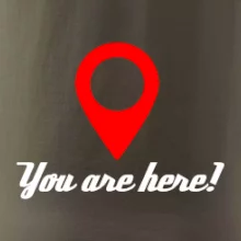You are here