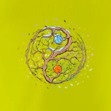 Yin & Yang strom - zima, leto