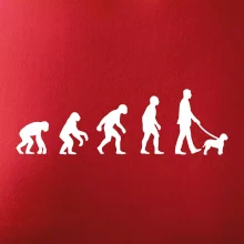 Lagotto romagnolo Evolúcia muž / žena