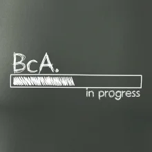 In progress titul BcA. bakalár / bakalárka umenia