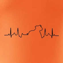 Stafordšírsky bulteriér ‎ EKG