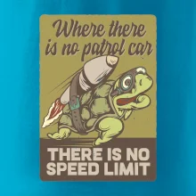 Korytnačka na cestách