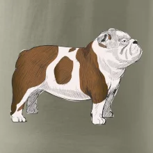 Vintage English bulldog