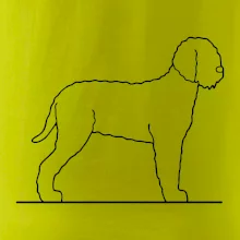 Lagotto romagnolo stojaci