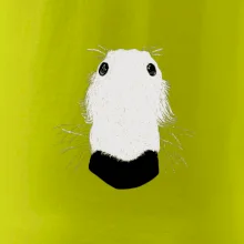 Barzoj čumák (Moňas)