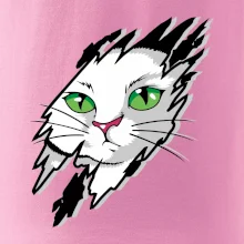 Kočka v roztrženém triku