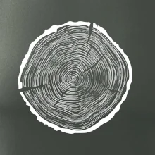 Letokruhy 55 bez veku