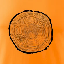 Letokruhy 80 bez veku Letokruhy 80 bez veku