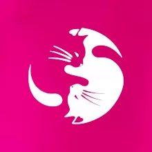 Mačka - Jin jang Mačka - Jin jang