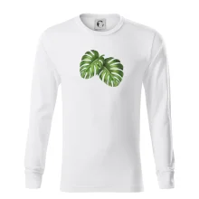 Monstera - dva listy Monstera - dva listy